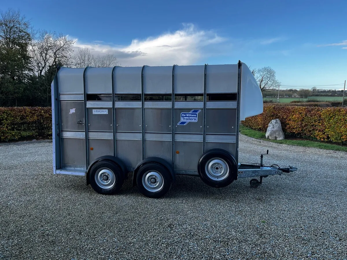 Ifor Williams 12x6x7 Highroof Livestock Trailer - Image 2