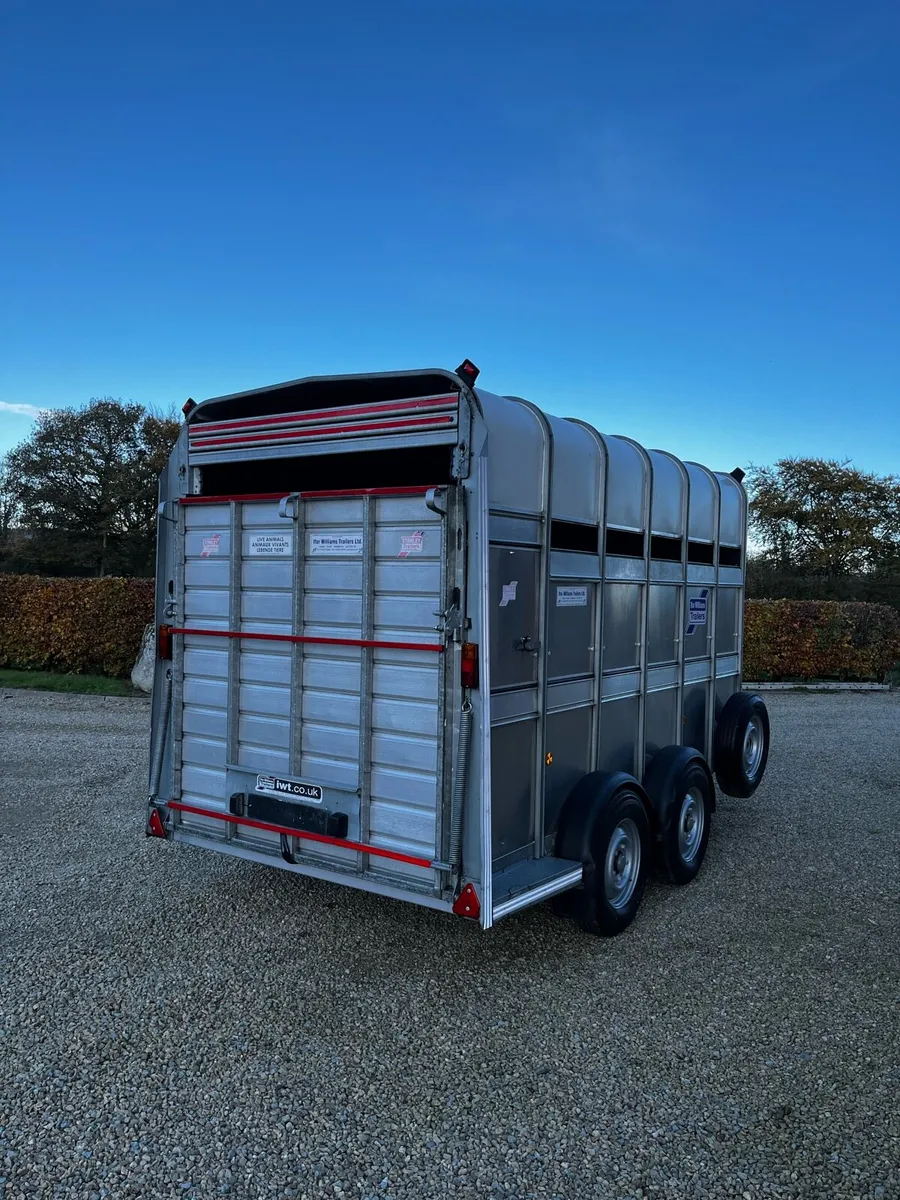 Ifor Williams 12x6x7 Highroof Livestock Trailer - Image 3