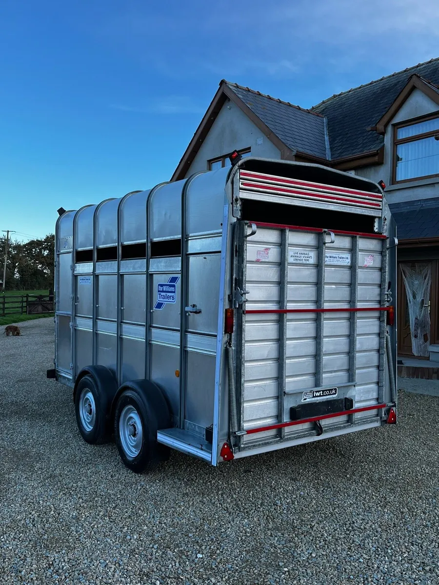 Ifor Williams 12x6x7 Highroof Livestock Trailer - Image 4