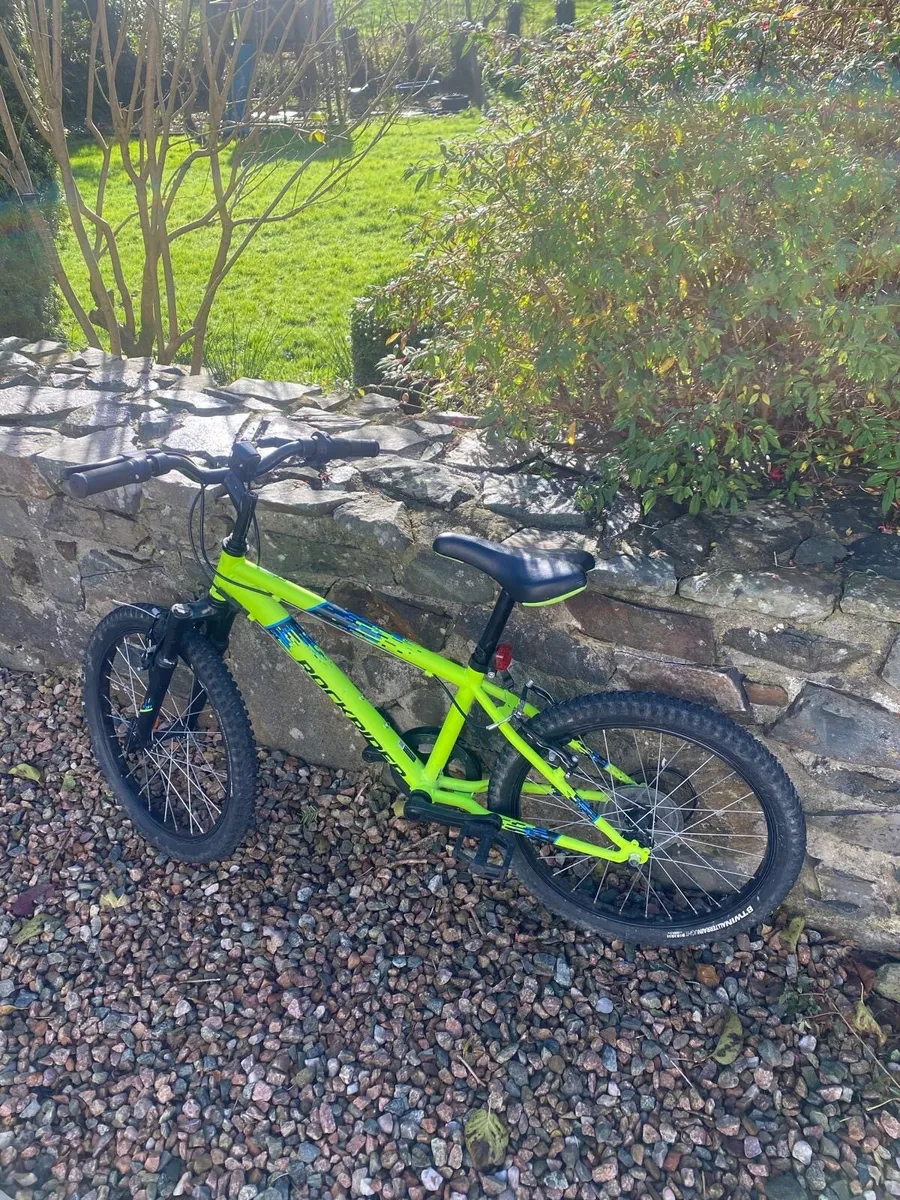 Kids Green Rockrider Bicycle - Image 1