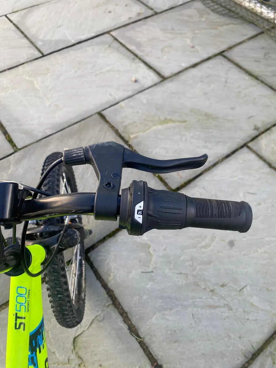 Kids Green Rockrider Bicycle - Image 3