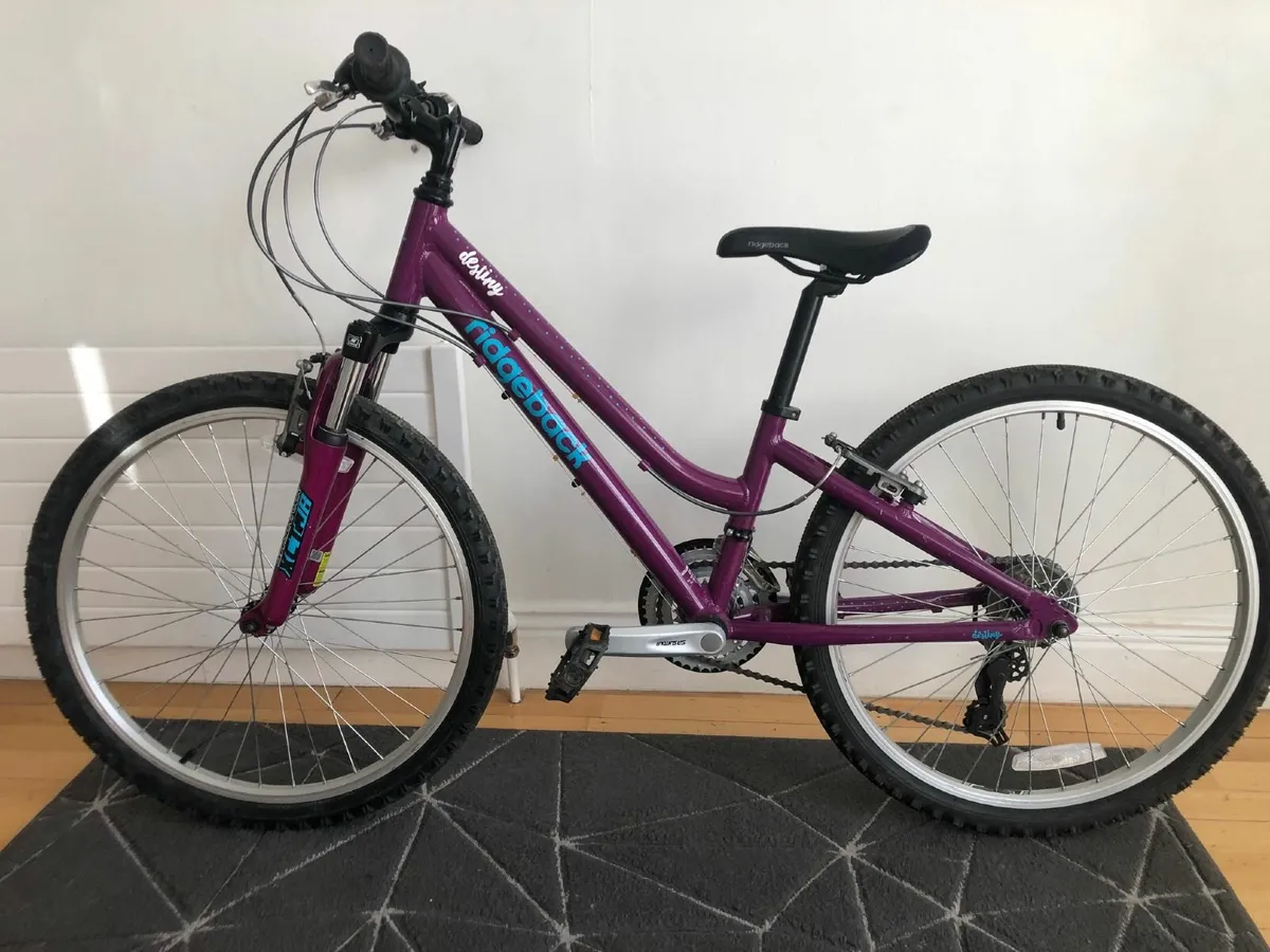 Purple Ridgeback Destiny Childs Bike - Image 1