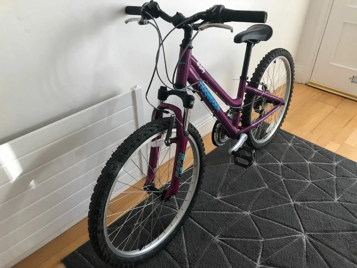 Purple Ridgeback Destiny Childs Bike - Image 2
