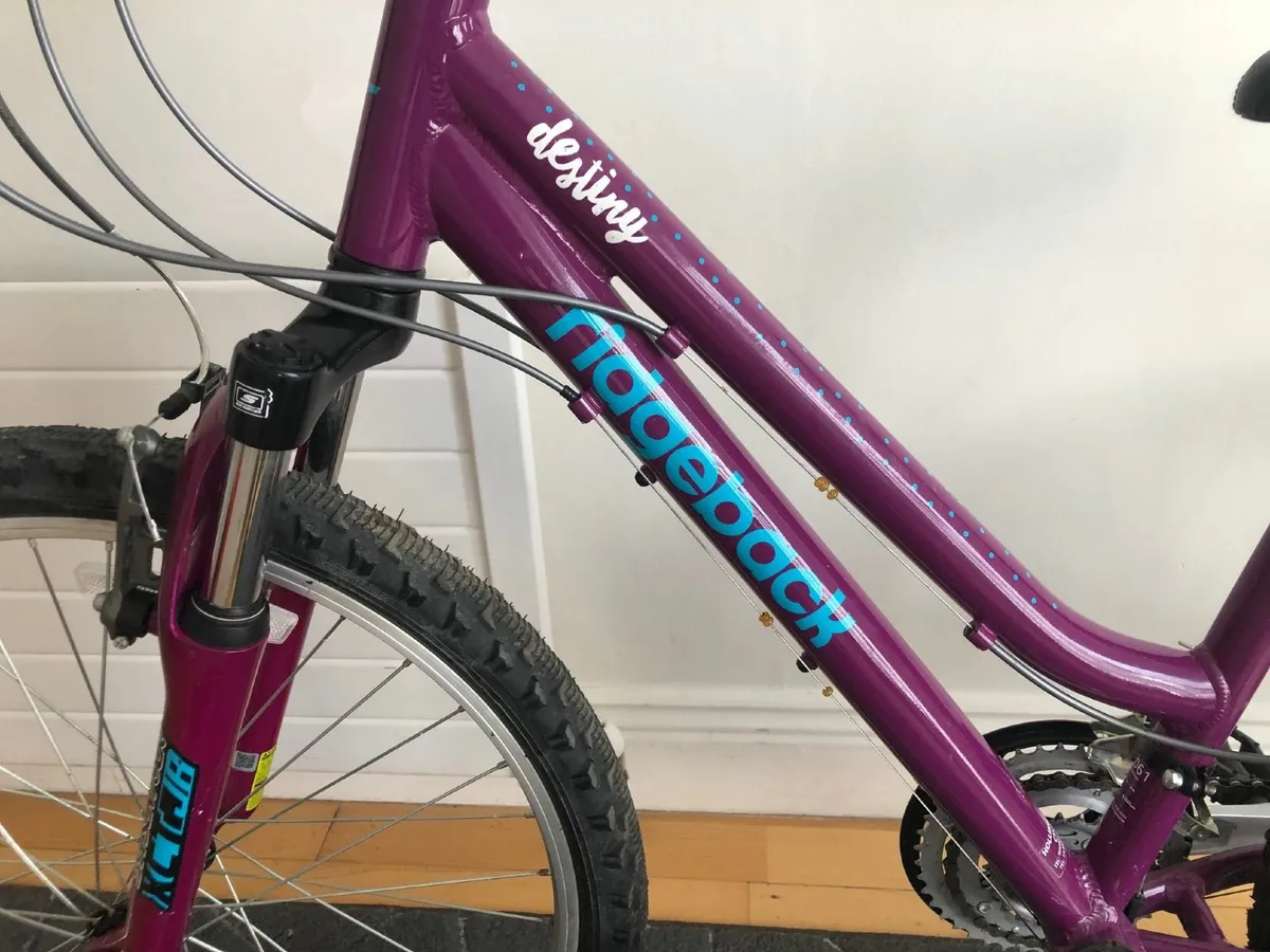 Purple Ridgeback Destiny Childs Bike - Image 3