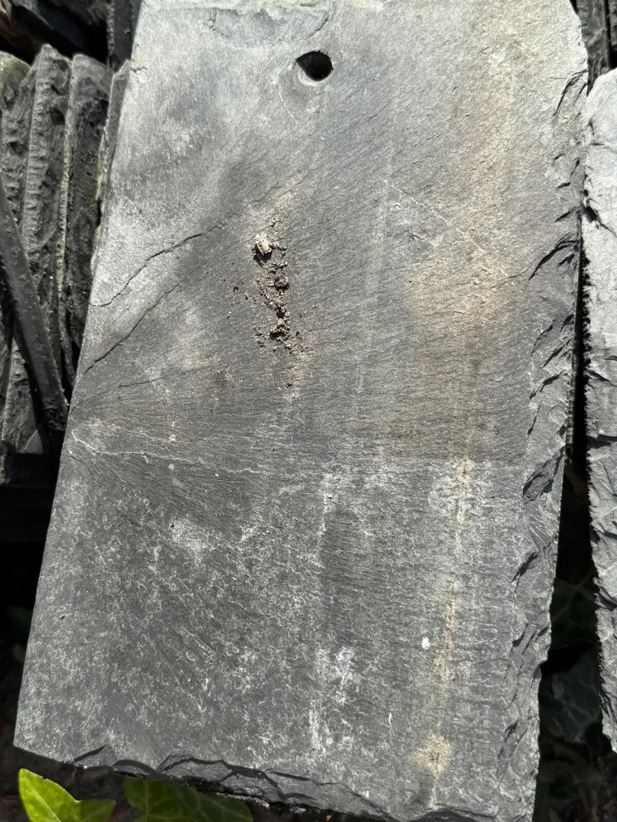 Slates (blue Bangor) - Image 1