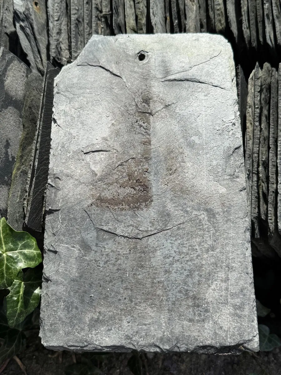 Slates (blue Bangor) - Image 2