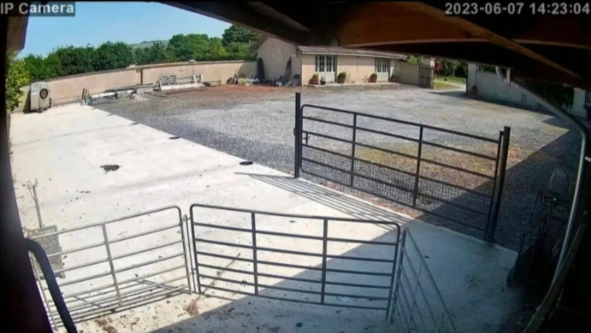 Calving & Security Cameras
(
installation service) - Image 3