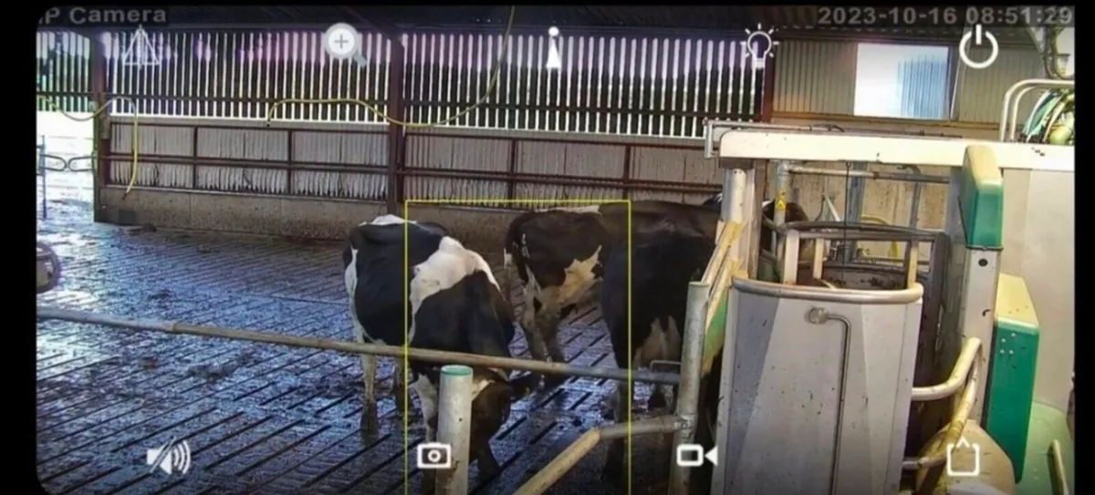 Calving & Security Cameras
(
installation service) - Image 4