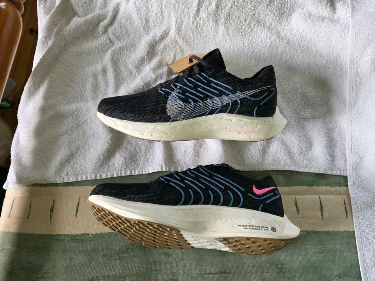 Nike Pegasus Turbo Next Nature Womens Runners - Image 1