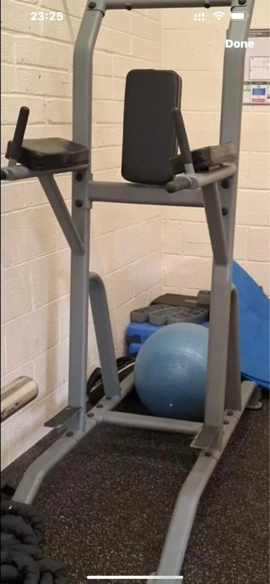 VERTICAL KNEE RAISE/DIP - Image 3