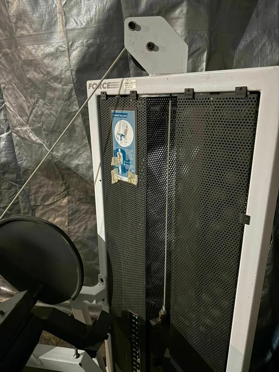 FORCE Leg Curl Machine Commercial - Image 2