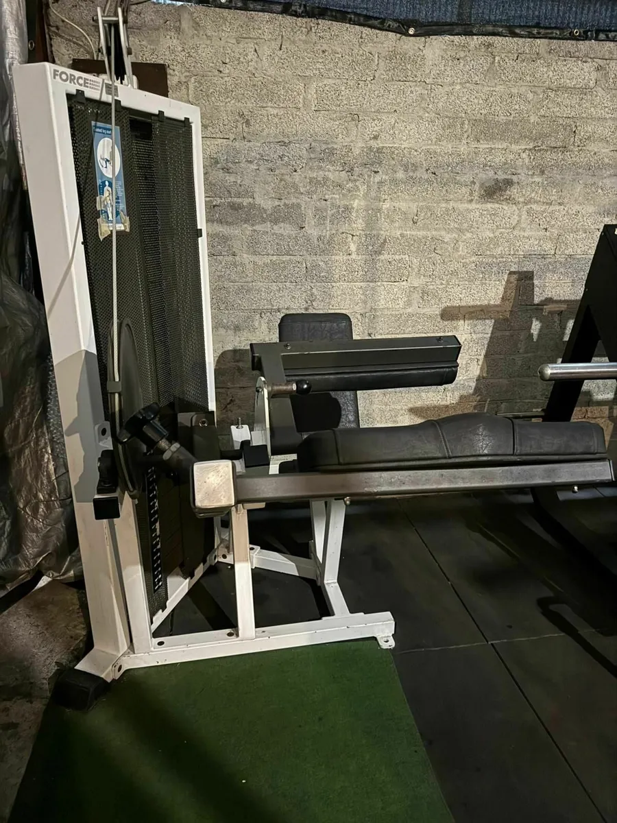 FORCE Leg Curl Machine Commercial - Image 3
