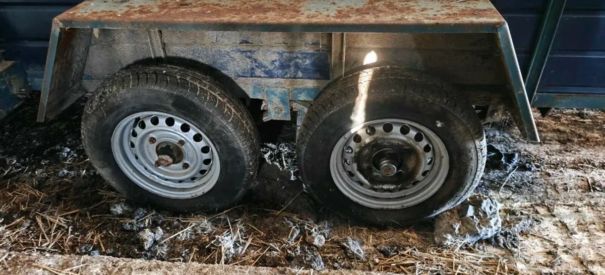 Trailer with steel floor - Image 3