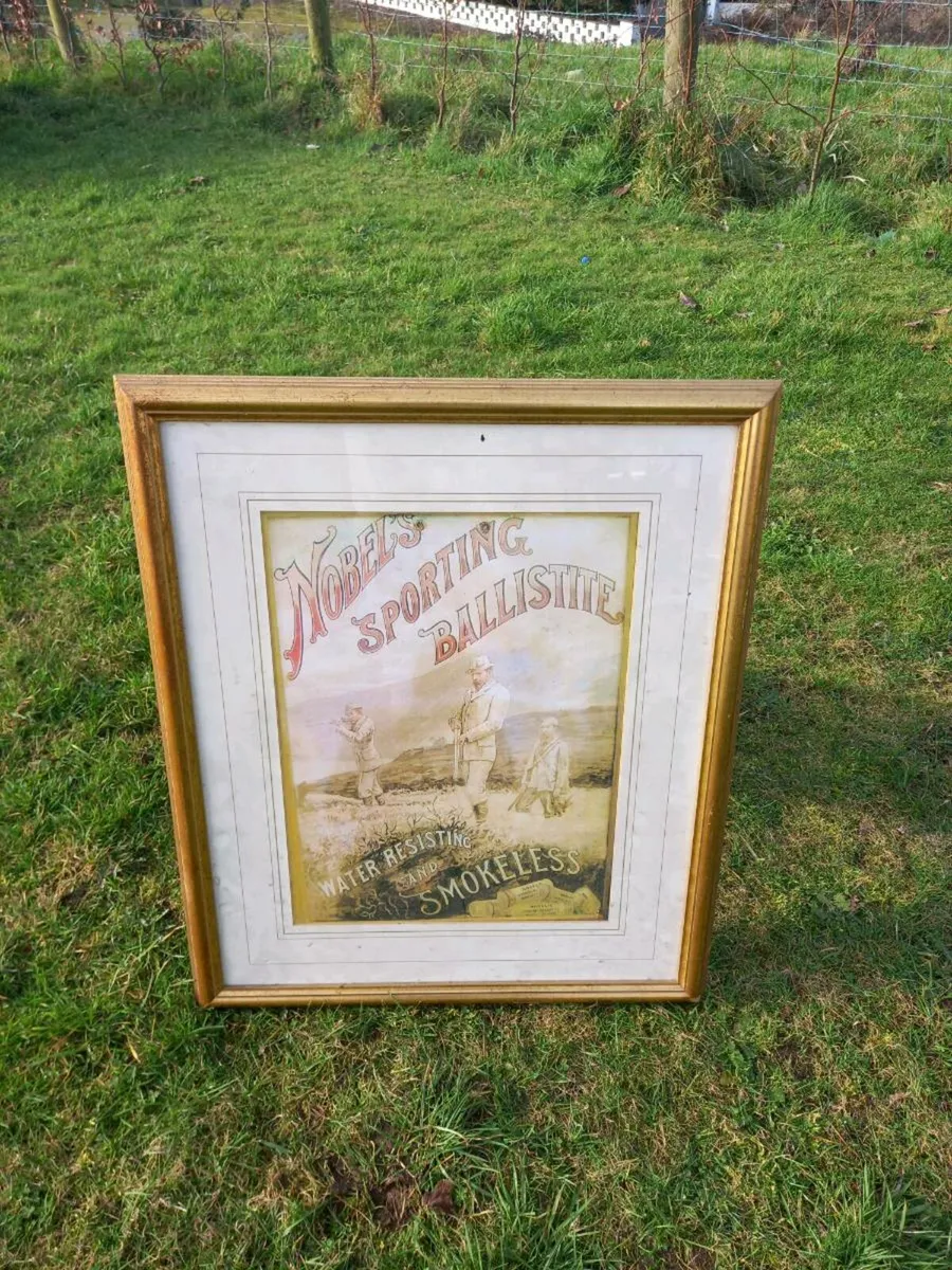 Nobels Sporting Advert - Image 2