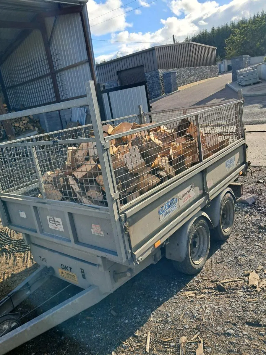 Dale kane tipper trailer - Image 2