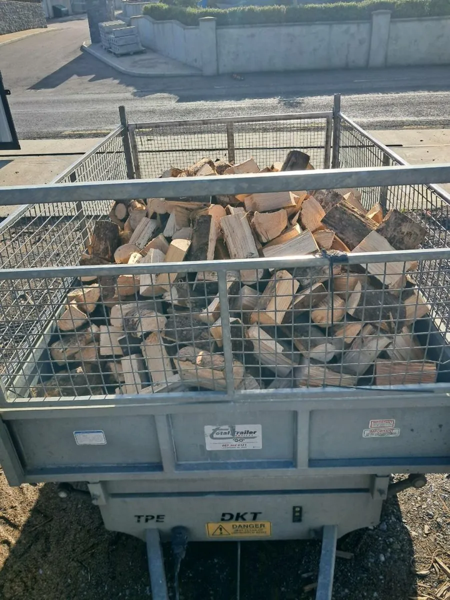 Dale kane tipper trailer - Image 3