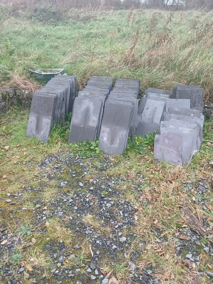 Blue Bangor Slates for Sale - Image 1