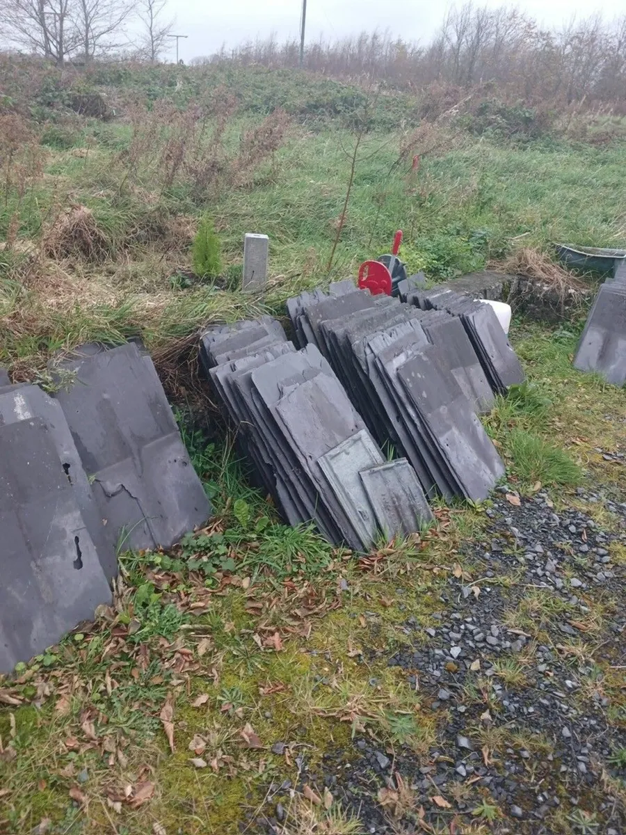 Blue Bangor Slates for Sale - Image 2