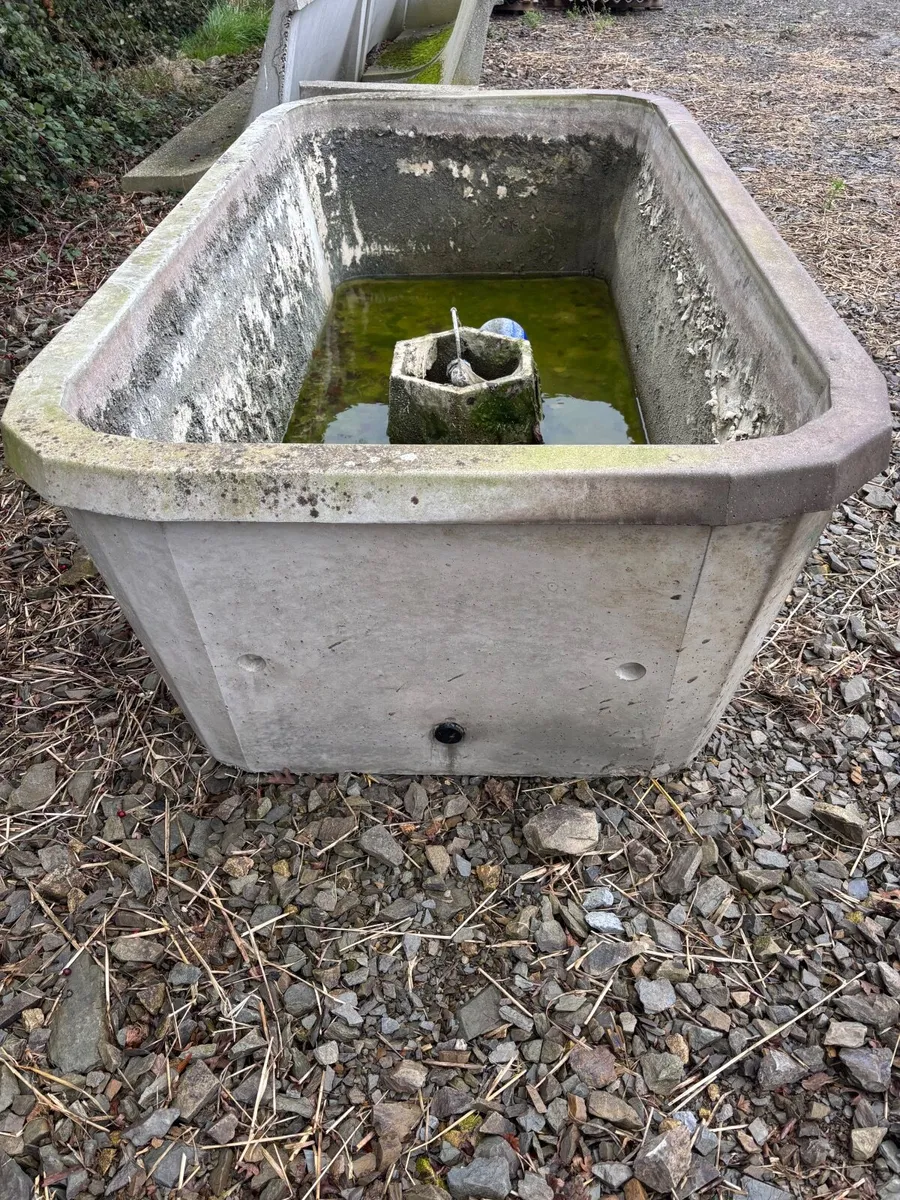 Concrete drinker - Image 1