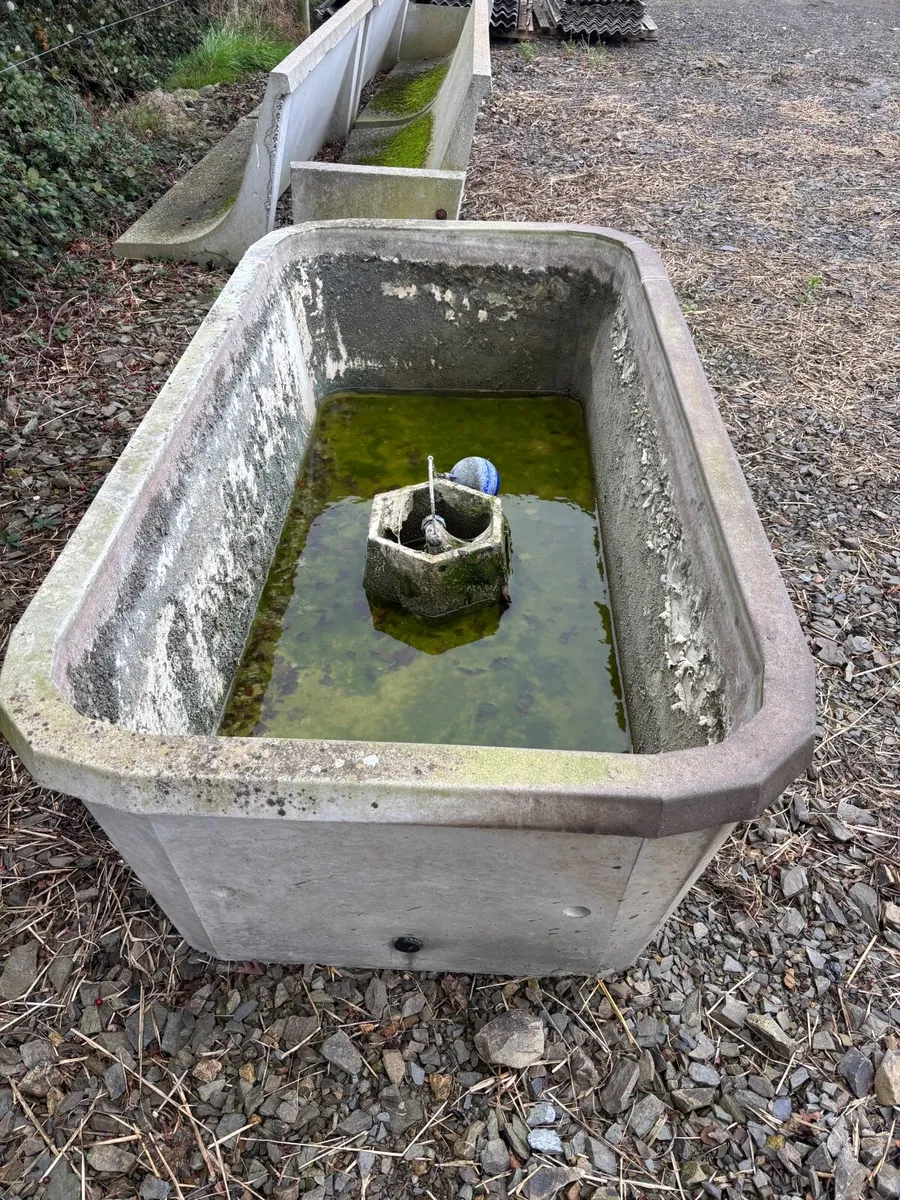 Concrete drinker - Image 2