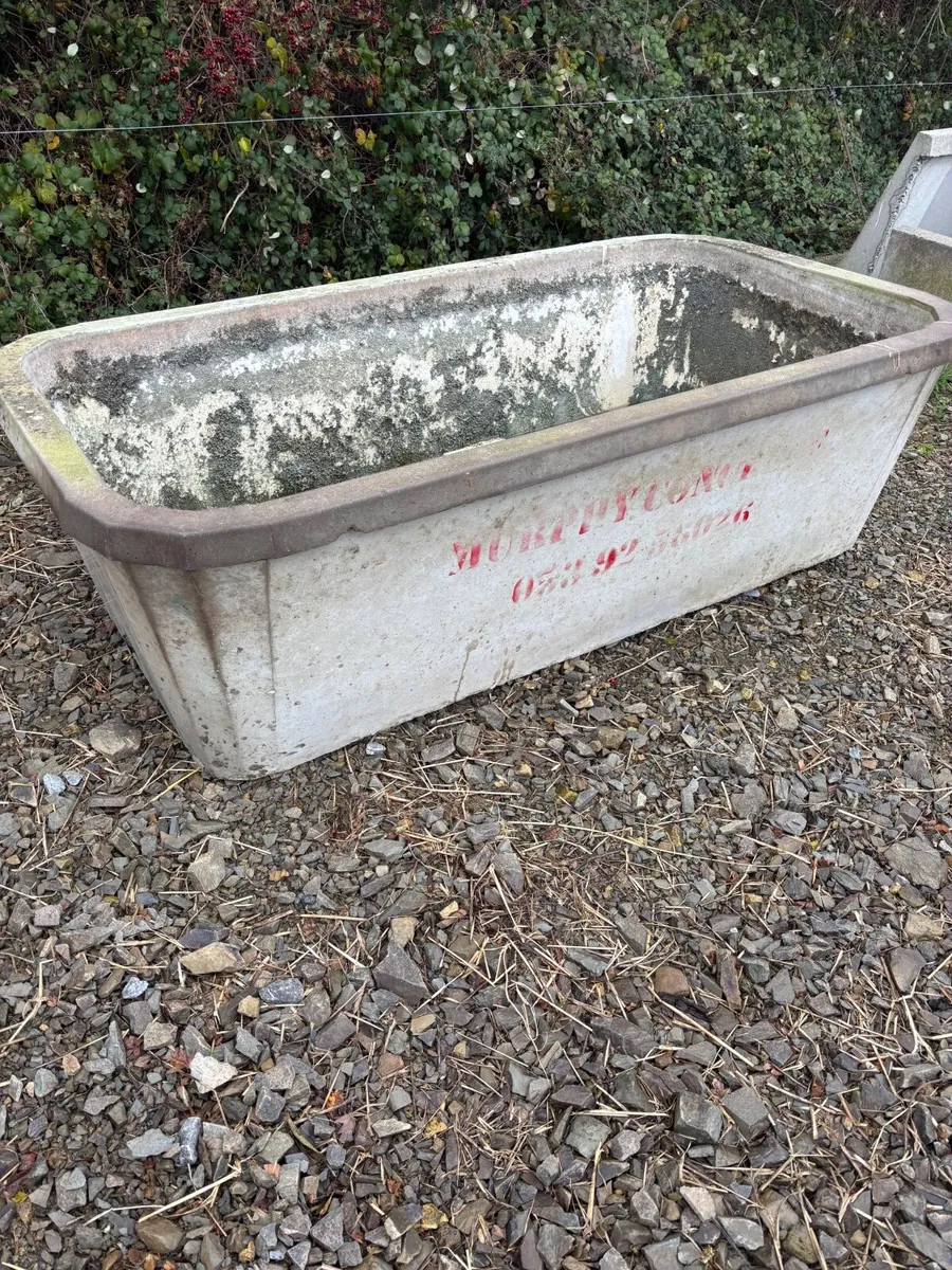 Concrete drinker - Image 3