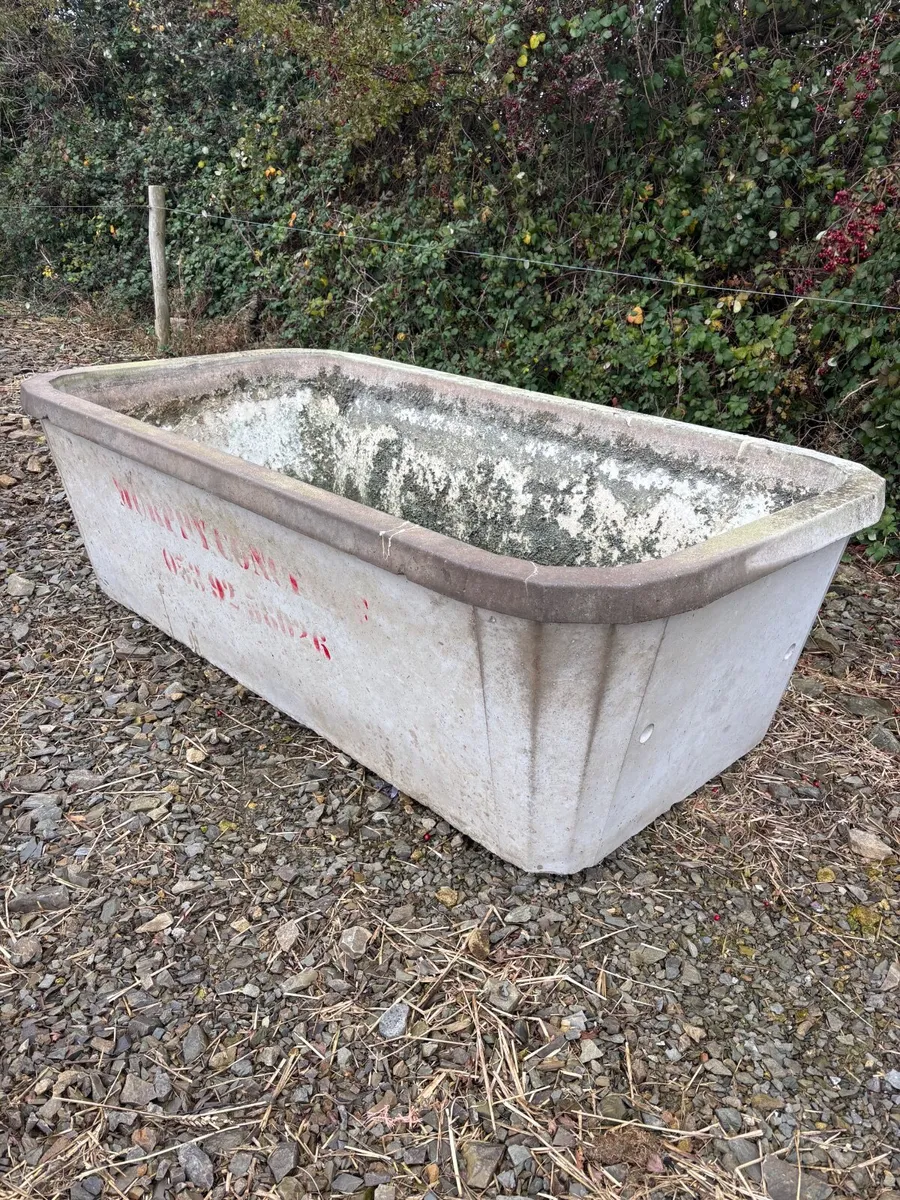 Concrete drinker - Image 4