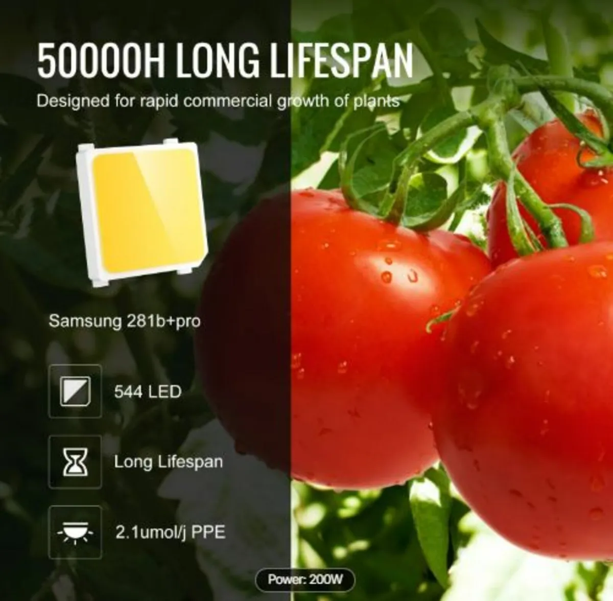 LED Grow Light, 200W Full Spectrum Dimmable, High - Image 4