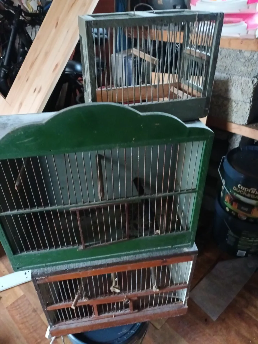 Canary cages - Image 2