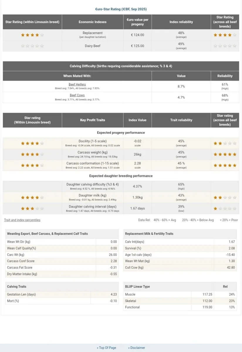 Pedigree Limousin Heifer - Image 4