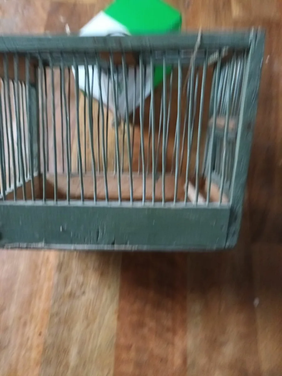 Canary cages - Image 4