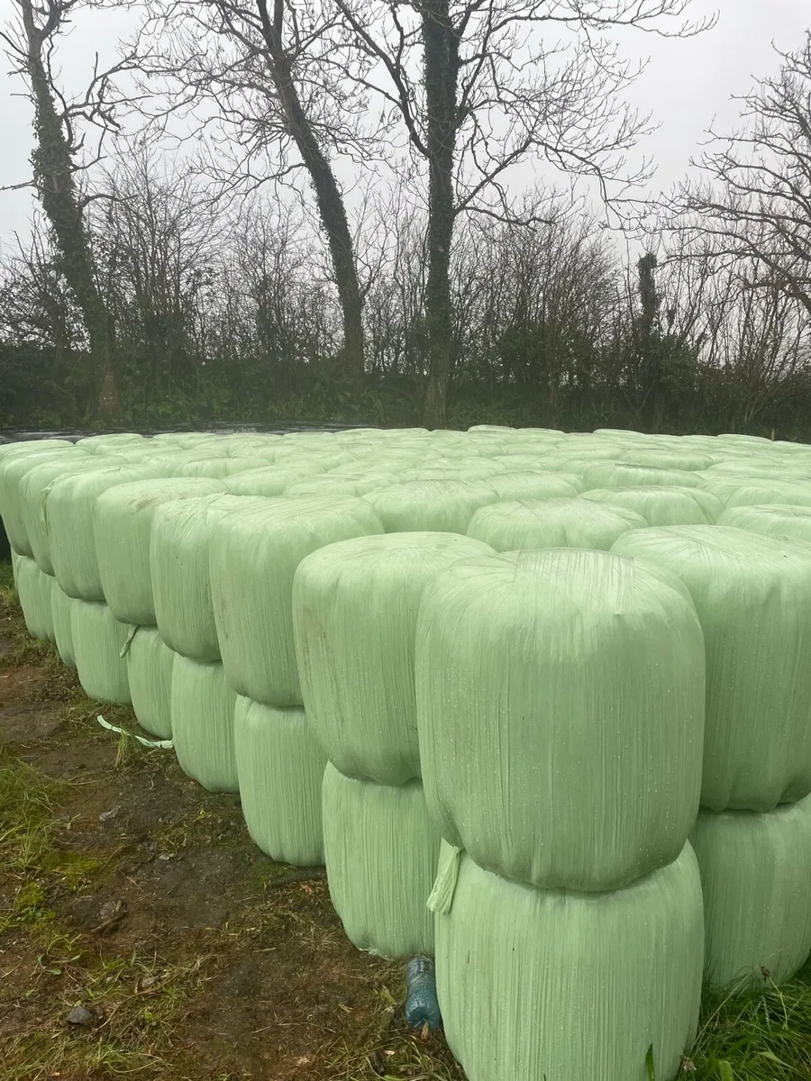 *Mini round and big bales of haylage* - Image 1