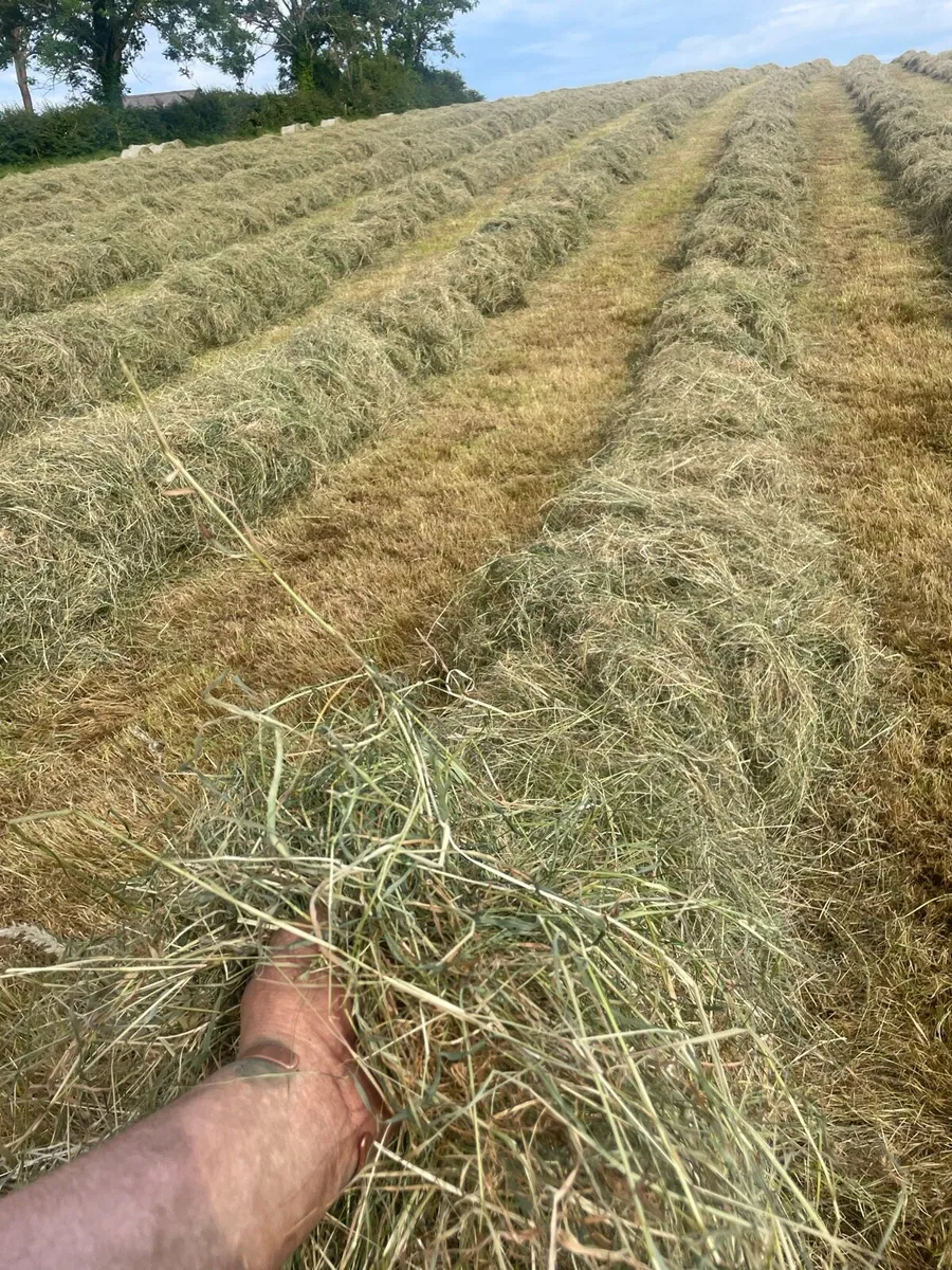 *Mini round and big bales of haylage* - Image 2