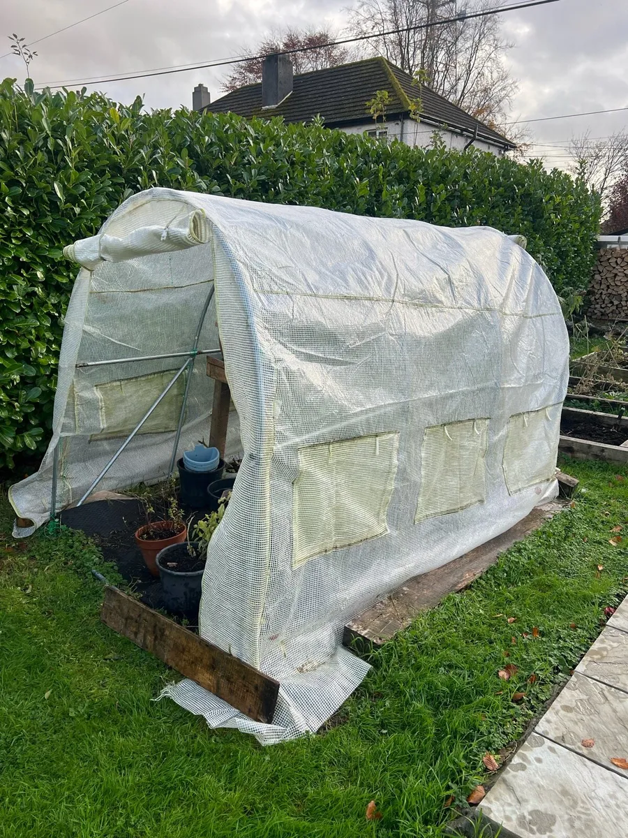 Poly tunnel - Image 1