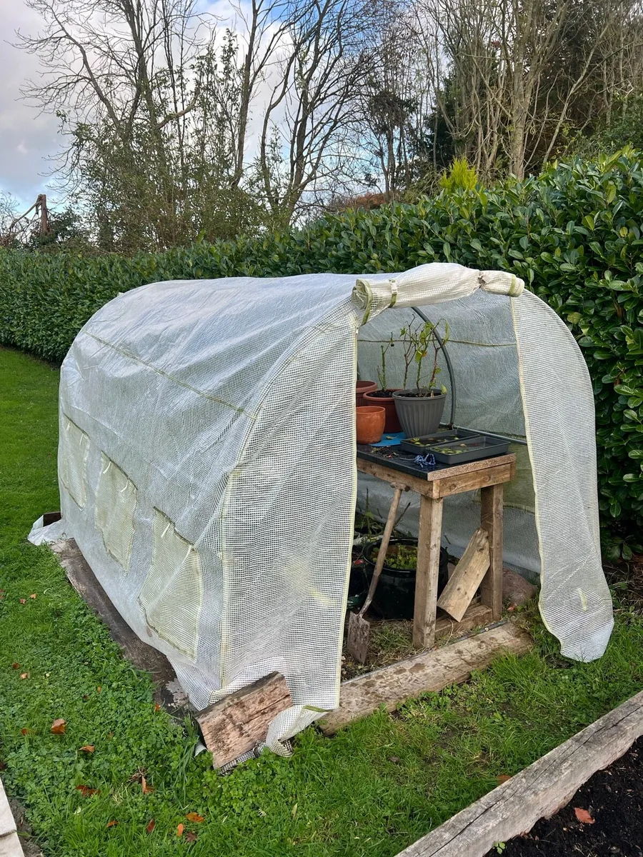 Poly tunnel - Image 2