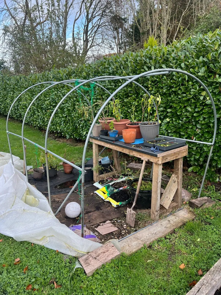 Poly tunnel - Image 3