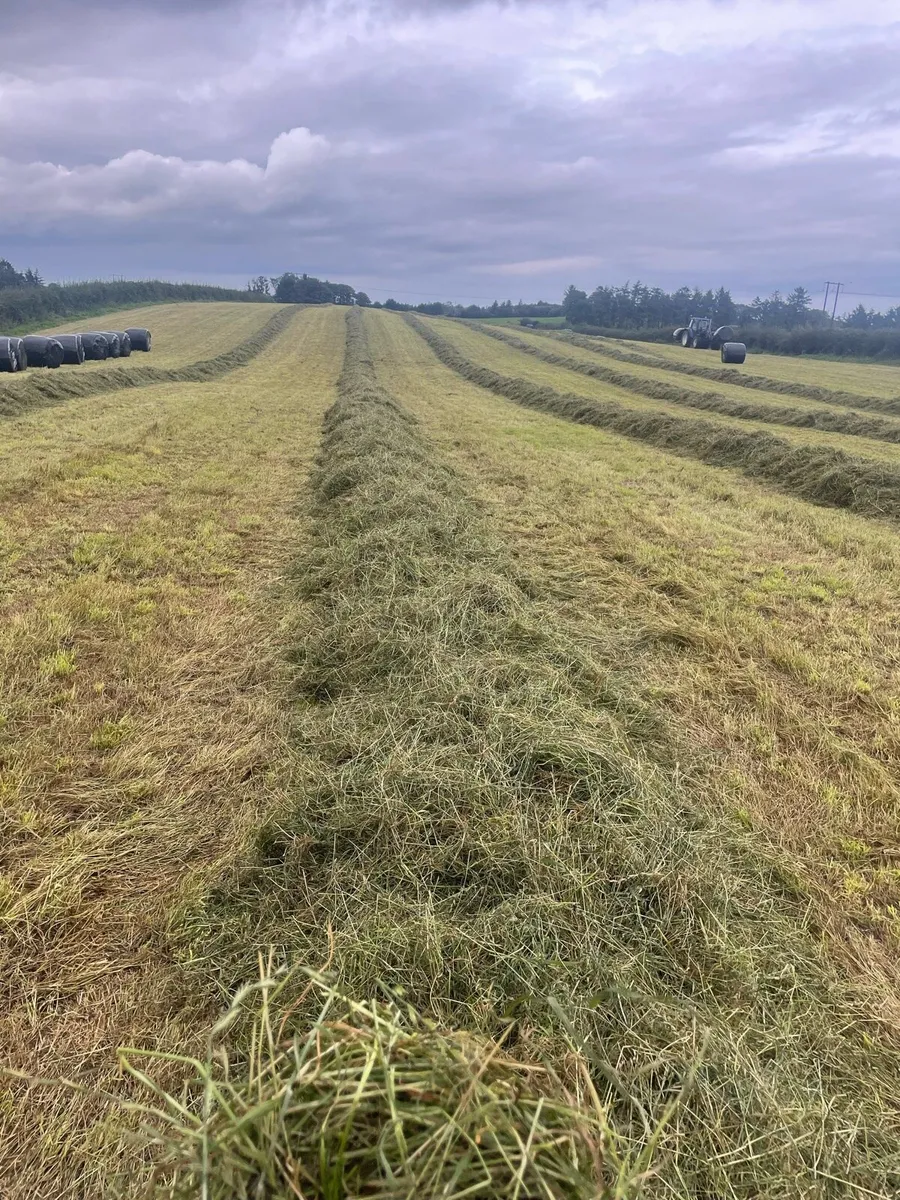 *Round bales of top quality silage* - Image 3