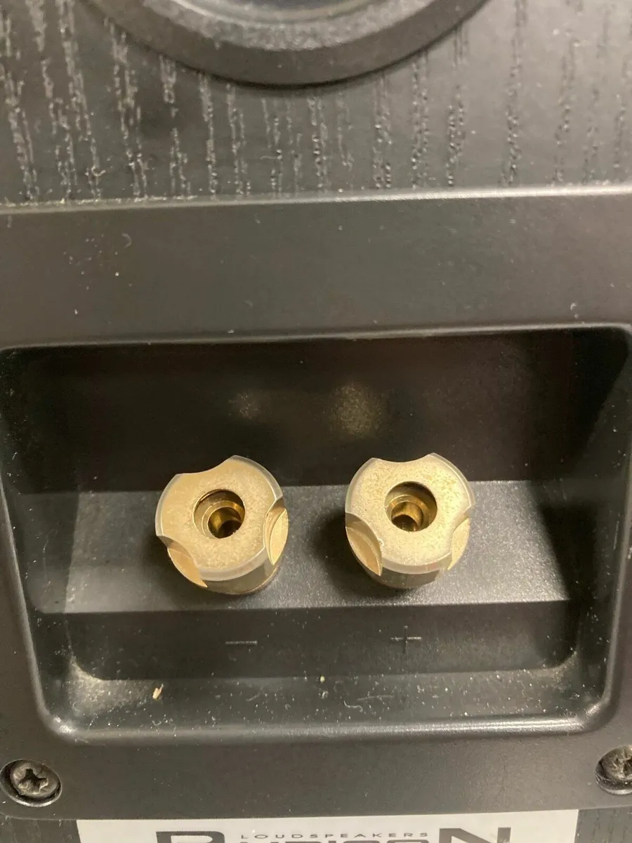 Rubicon RP-16 Speaker Pair - Image 3