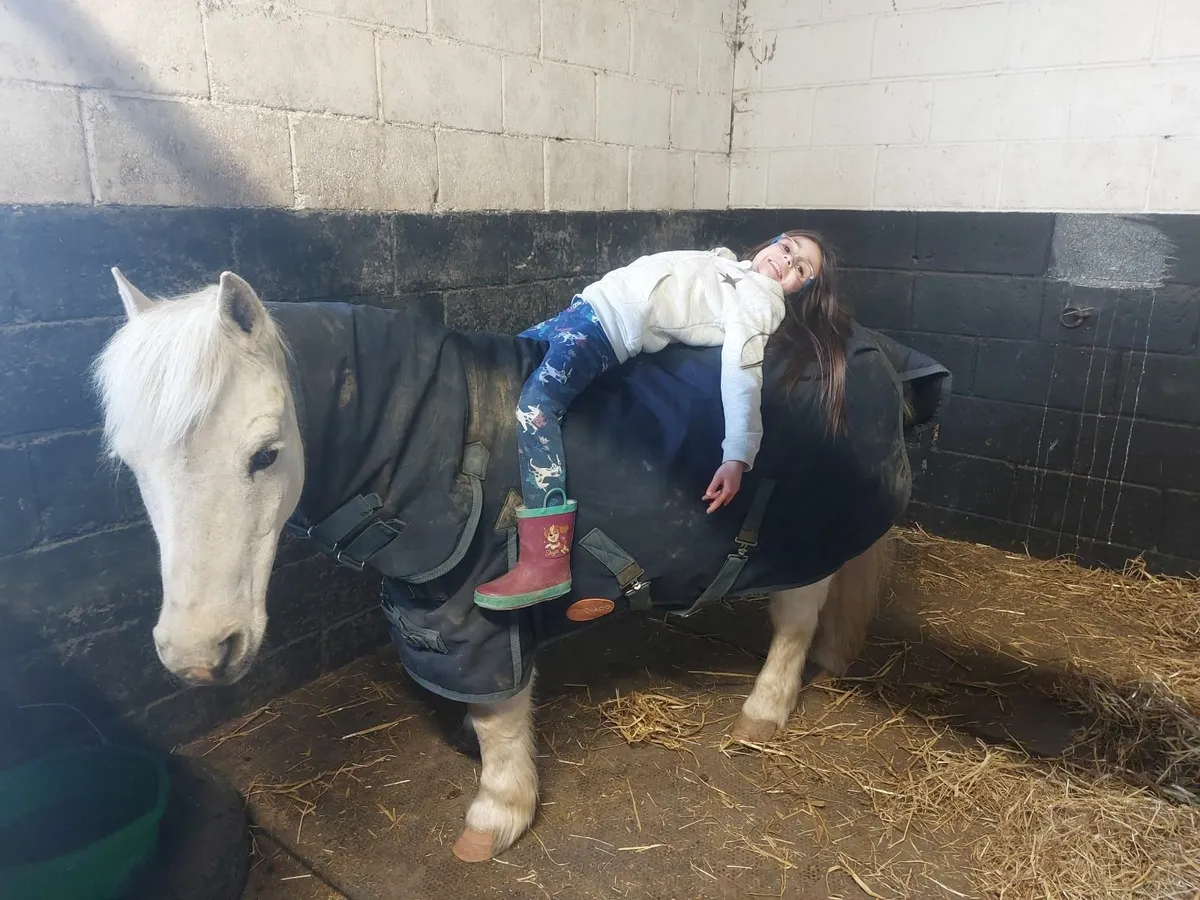 Perfect starter pony - Image 3