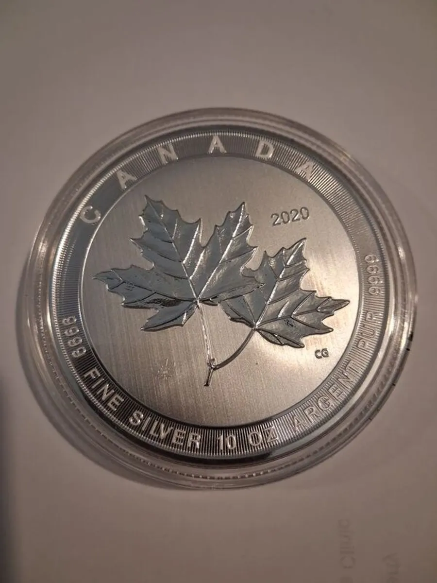 10 oz silver coin - Image 1