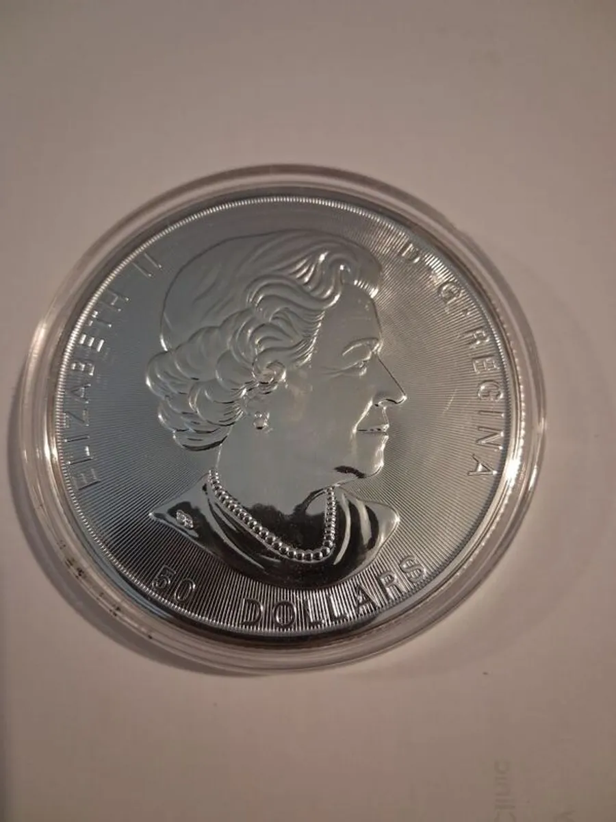 10 oz silver coin - Image 2