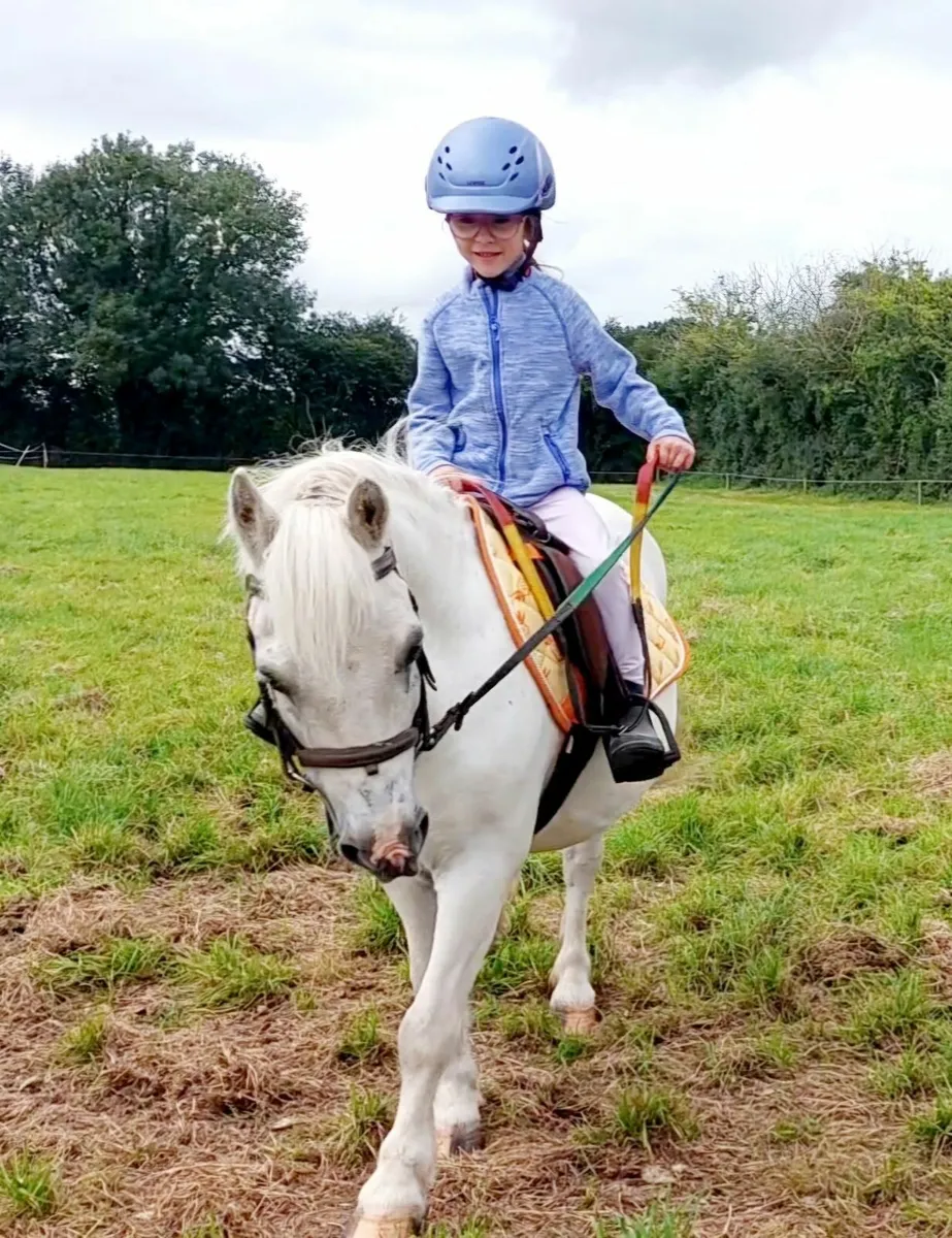 Perfect starter pony - Image 1