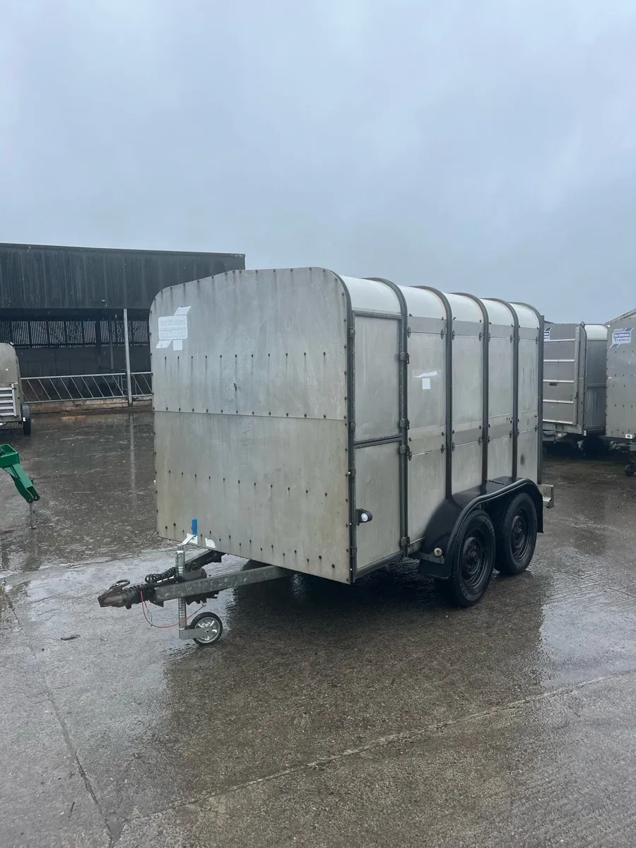Ifor Williams Livestock Trailer - Image 1