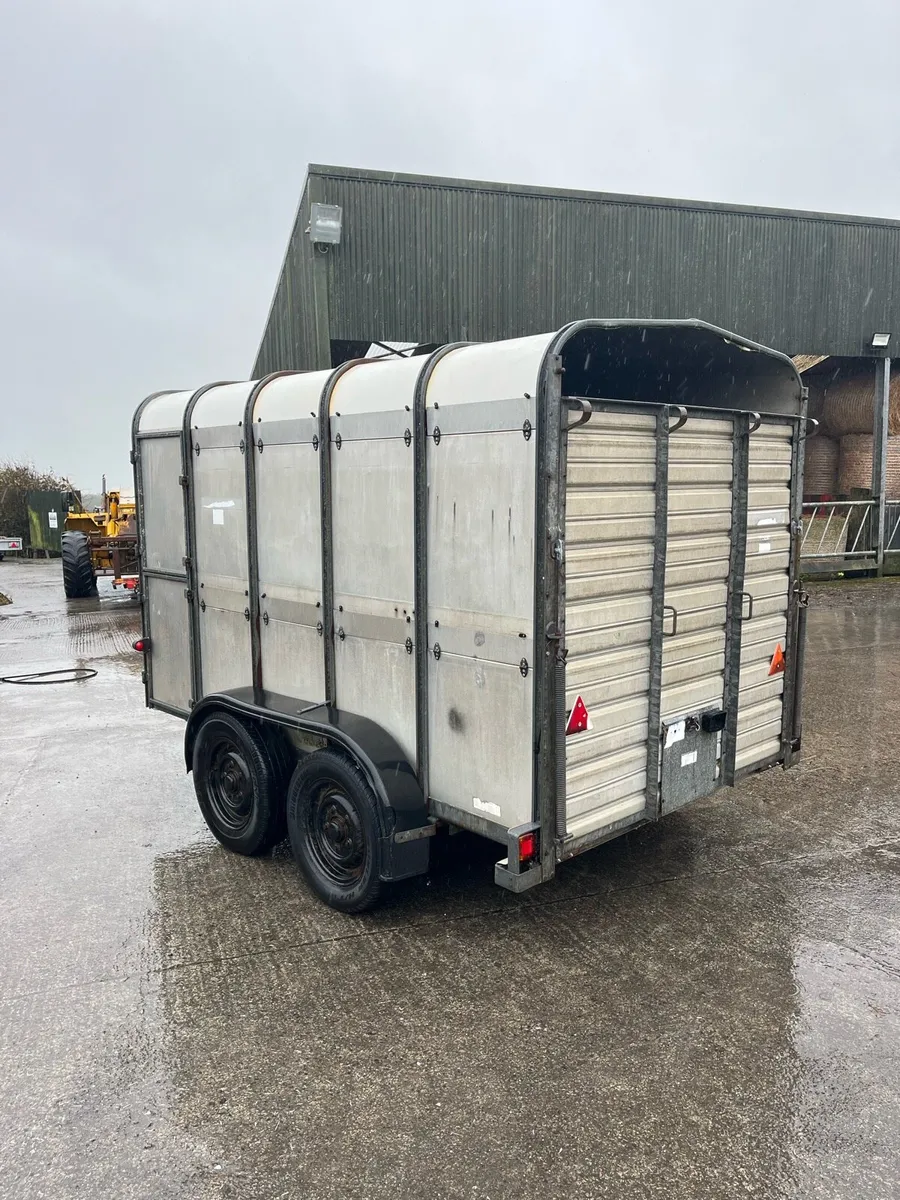 Ifor Williams Livestock Trailer - Image 3
