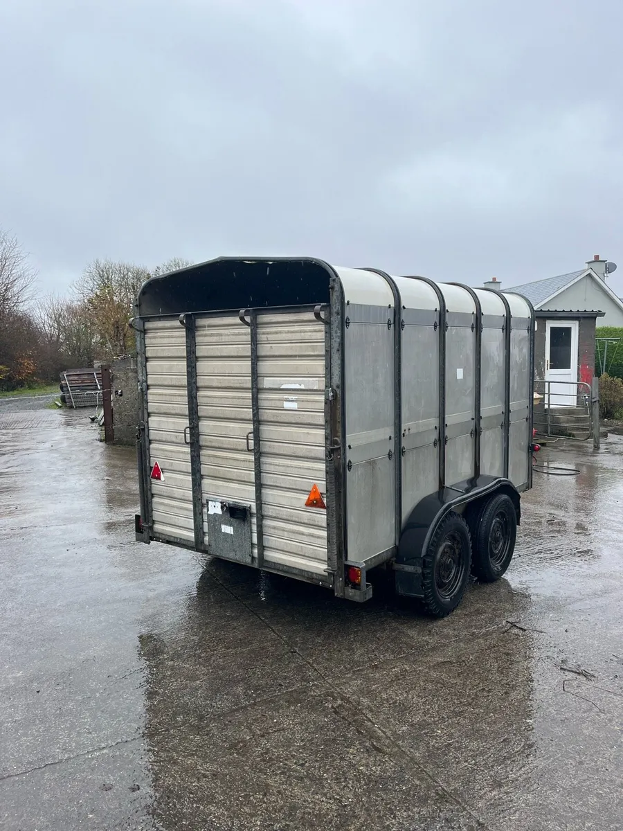 Ifor Williams Livestock Trailer - Image 4