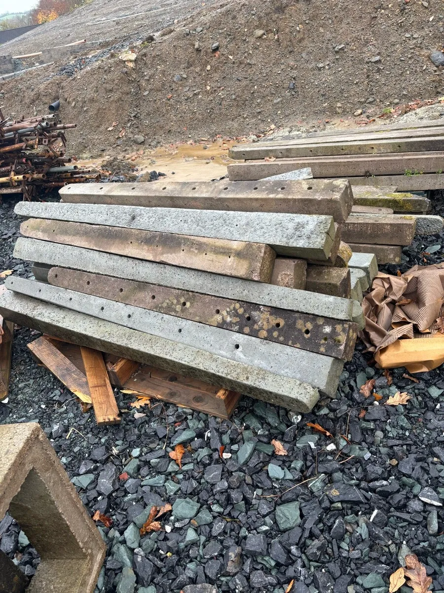 Concrete posts - Image 1