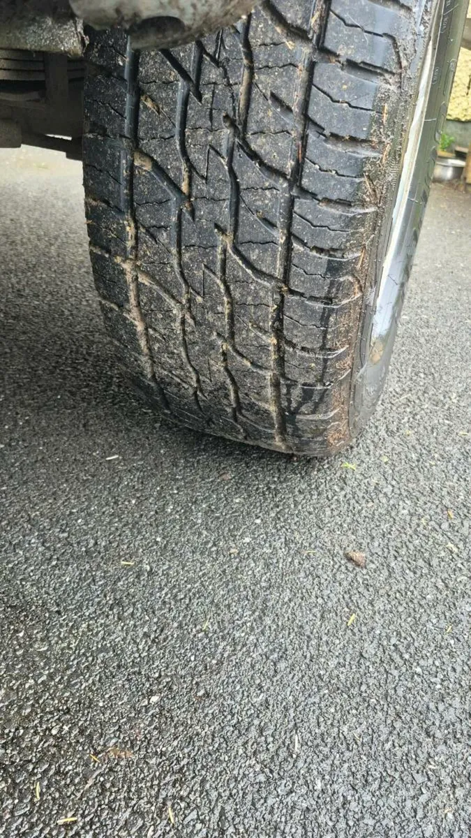 L200 animal - Image 3