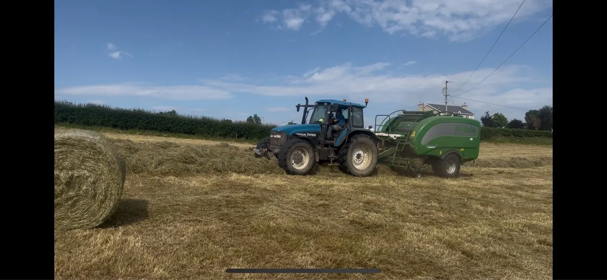 Hay - Image 4