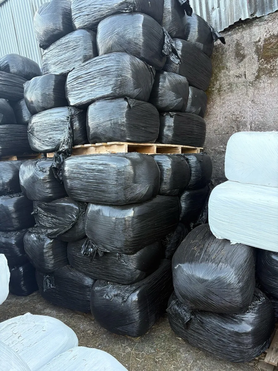 Premium Haylage for all types of Horses & Cattle - Image 1