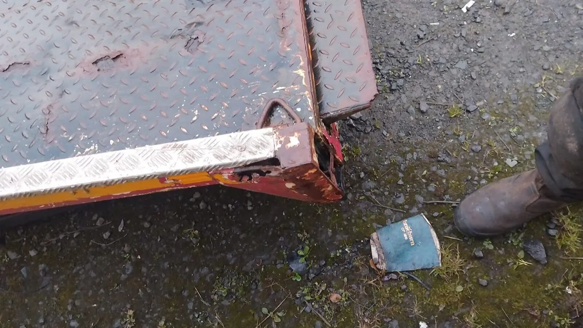 Ford transit body - Image 4