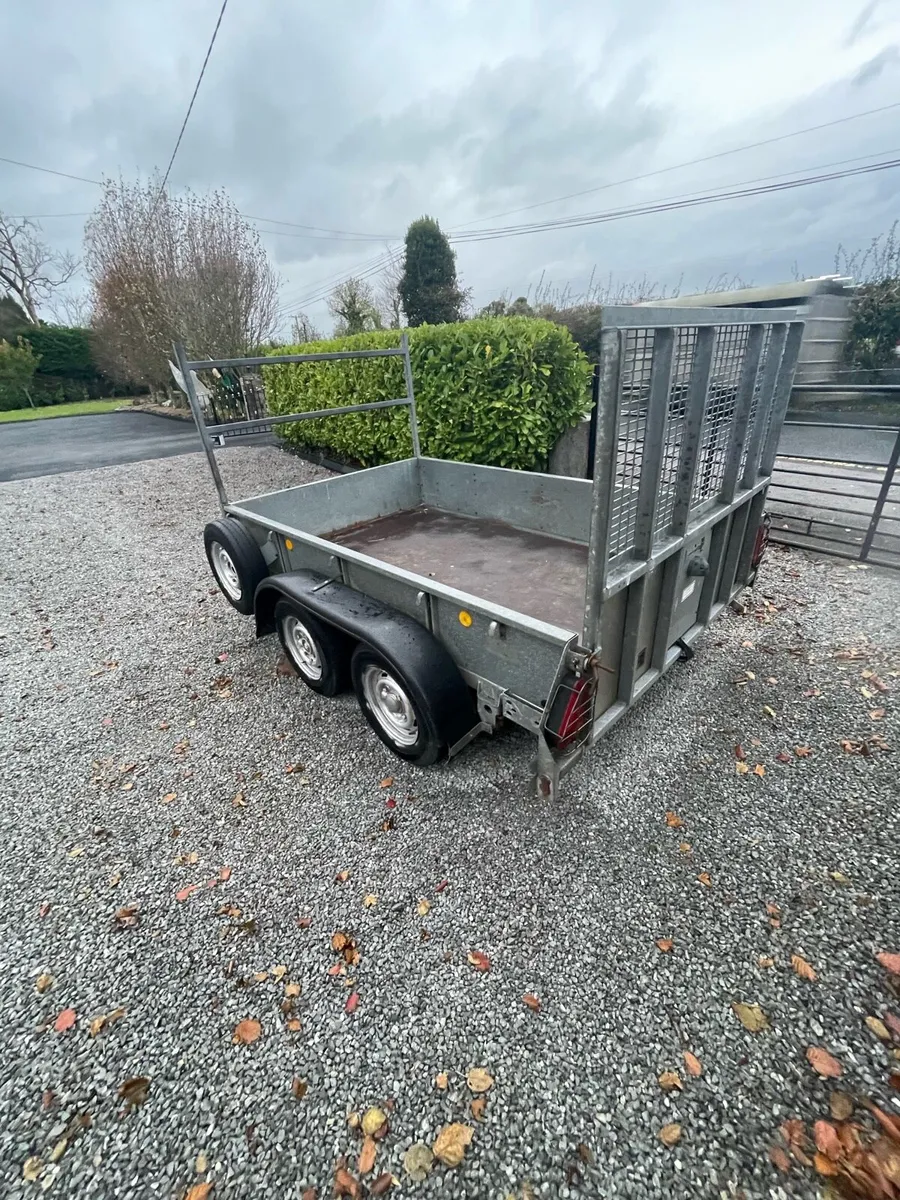 Ifer Williams  trailer - Image 3